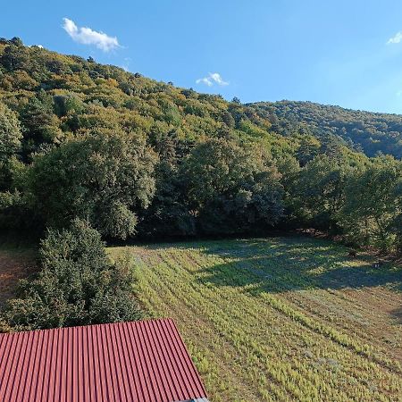 Mekan Ilica Apart Otel Karacasu  Εξωτερικό φωτογραφία